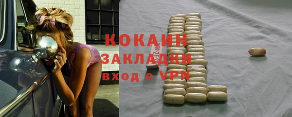 прущие грибы Волгодонск