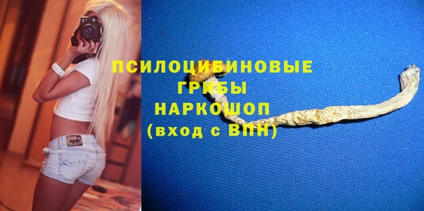 индика Липки