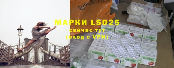 гидра Майский